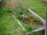 image of grave number 966945